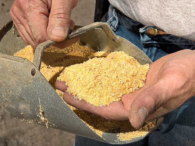 Buyers here and abroad consider U.S. soybean meal a premium product to other sources of meal. (Progressive Farmer photo by Tom Dodge)